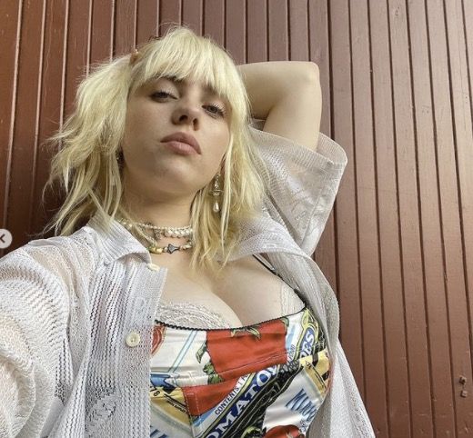 billie eilish euphoria boobs